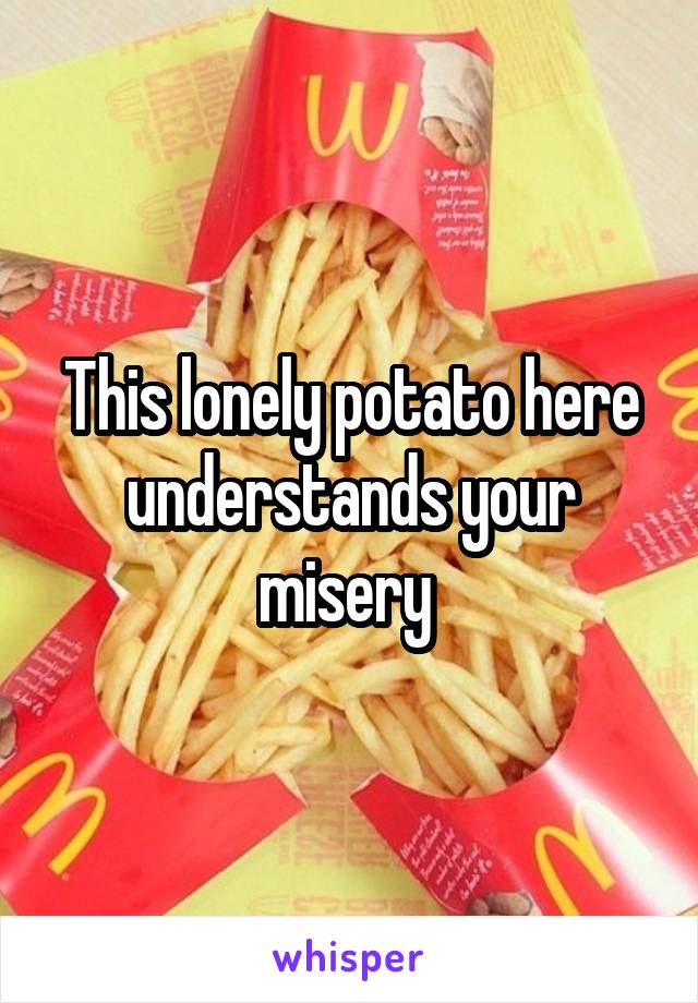 This lonely potato here understands your misery 