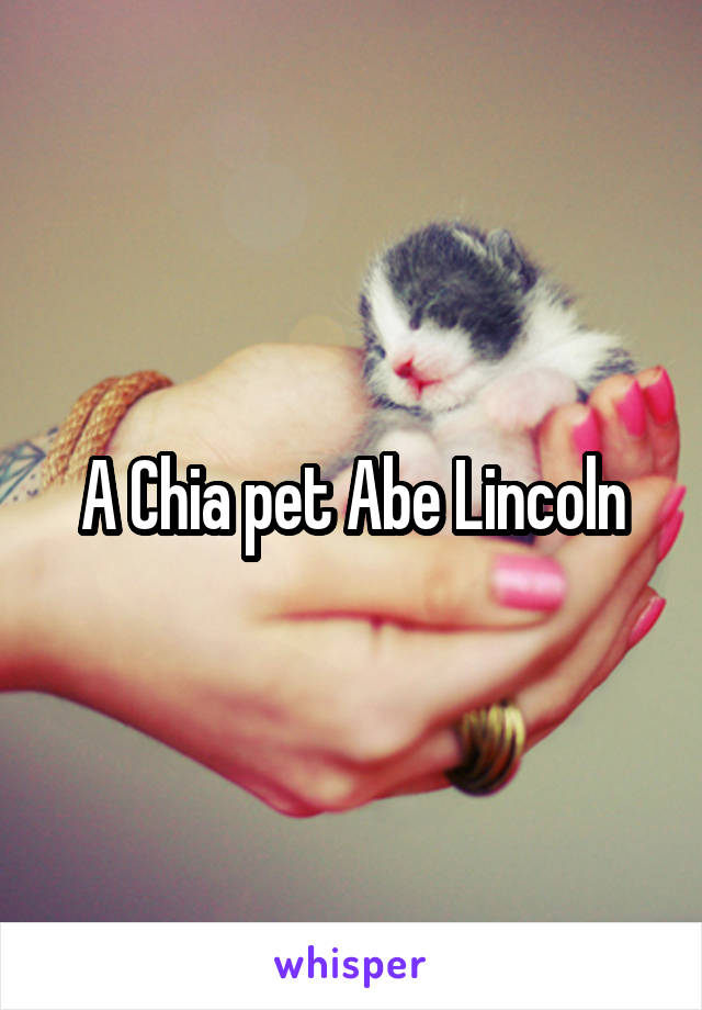 A Chia pet Abe Lincoln
