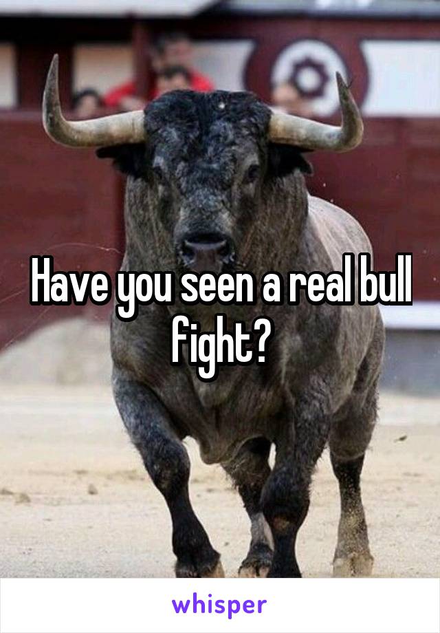Have you seen a real bull fight?