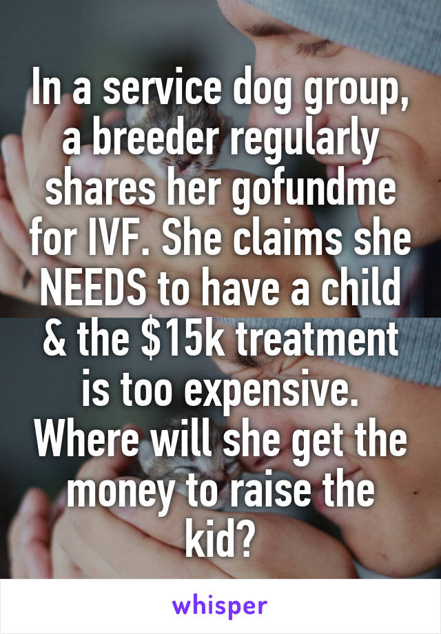 in-a-service-dog-group-a-breeder-regularly-shares-her-gofundme-for-ivf