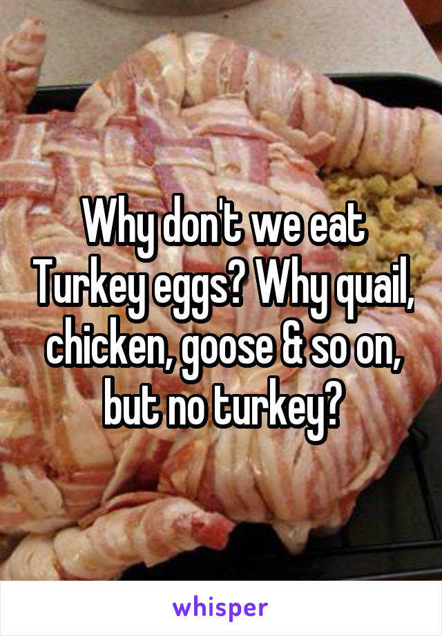 Why don't we eat Turkey eggs? Why quail, chicken, goose & so on, but no turkey?