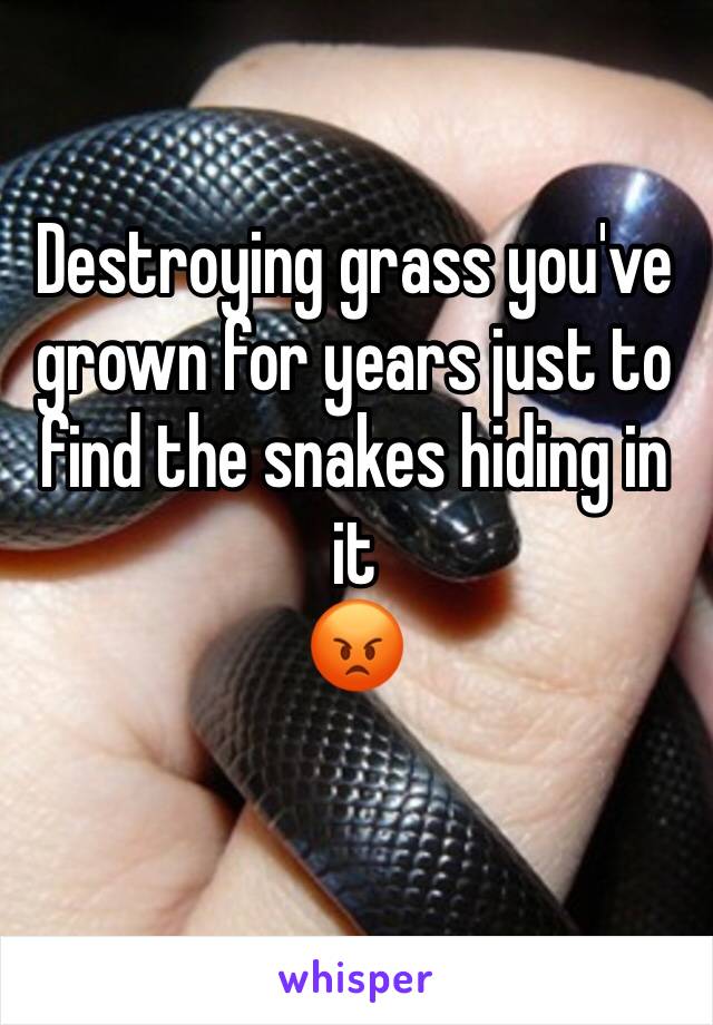 Destroying grass you've grown for years just to find the snakes hiding in it 
😡
