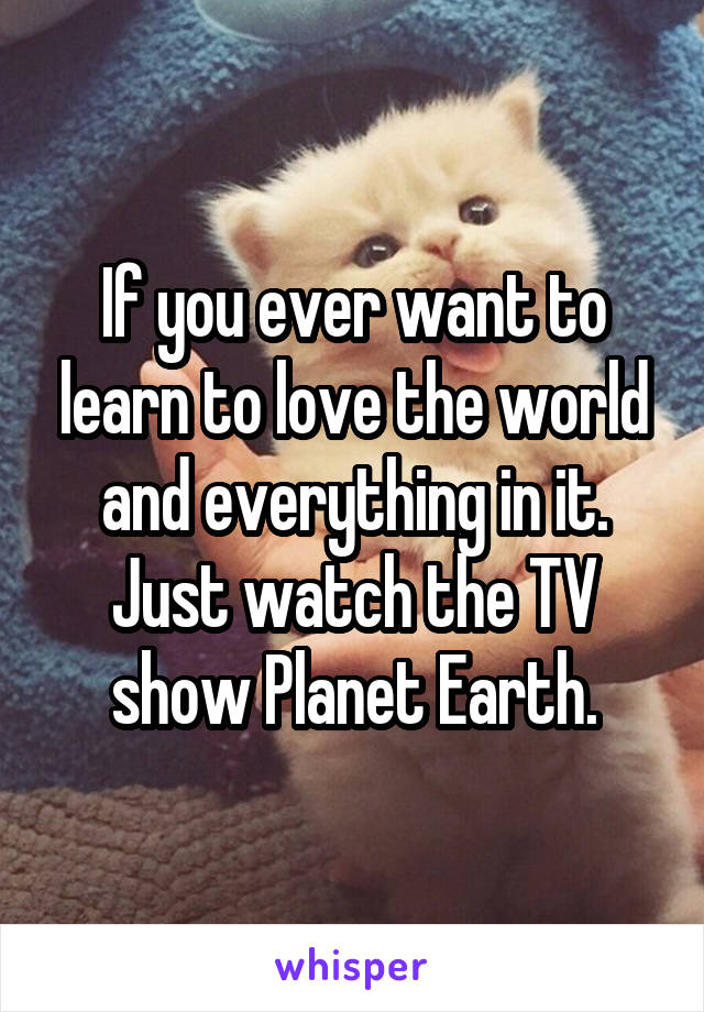 If you ever want to learn to love the world and everything in it.
Just watch the TV show Planet Earth.