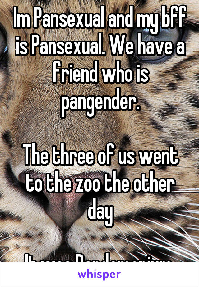 Im Pansexual and my bff is Pansexual. We have a friend who is pangender.

The three of us went to the zoo the other day

It was Pandamonium 