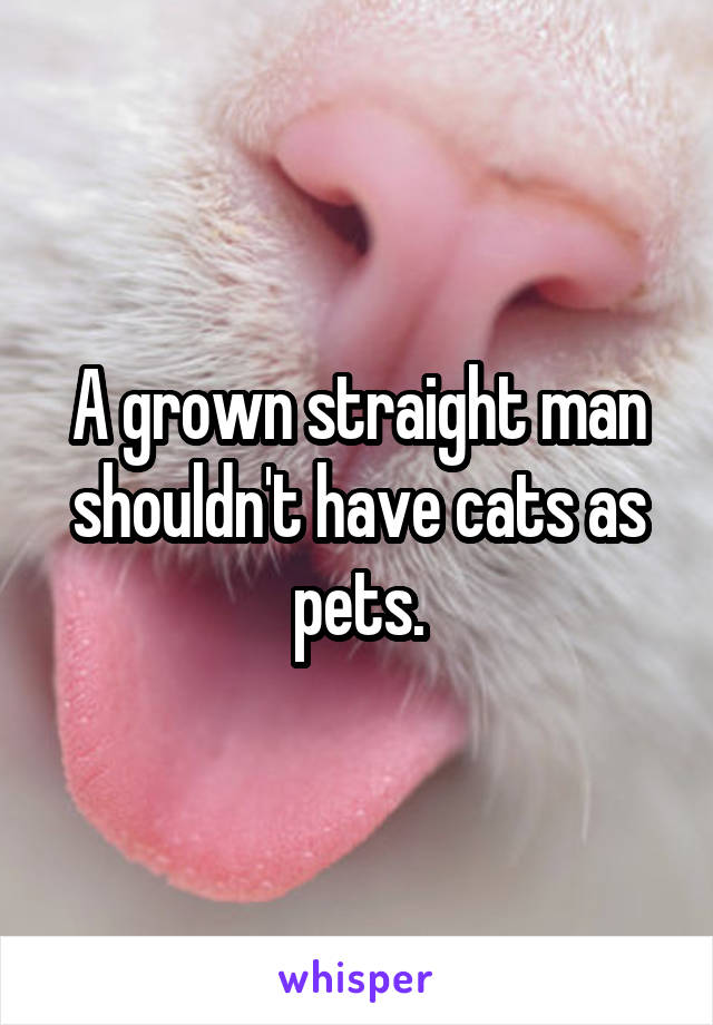 A grown straight man shouldn't have cats as pets.