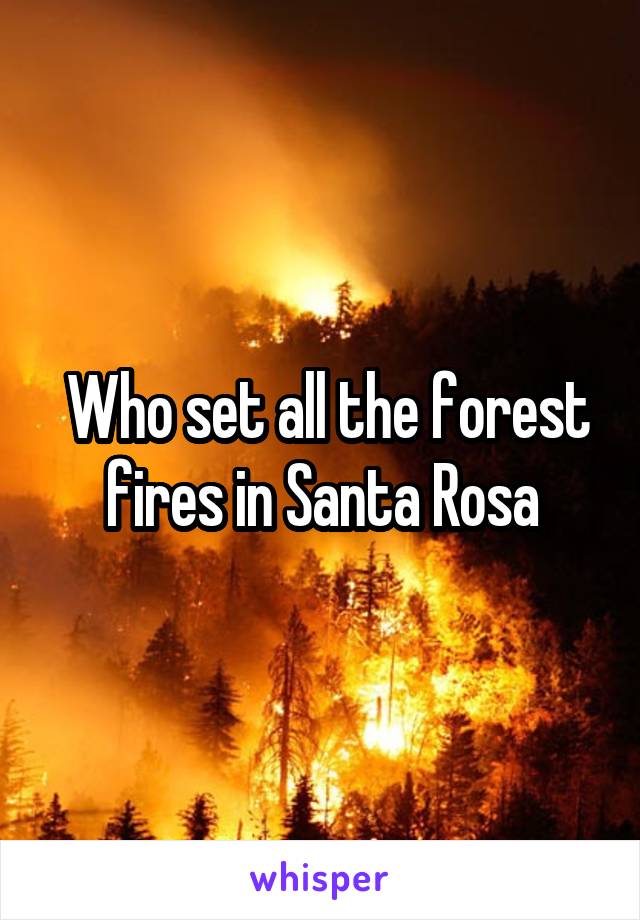  Who set all the forest fires in Santa Rosa