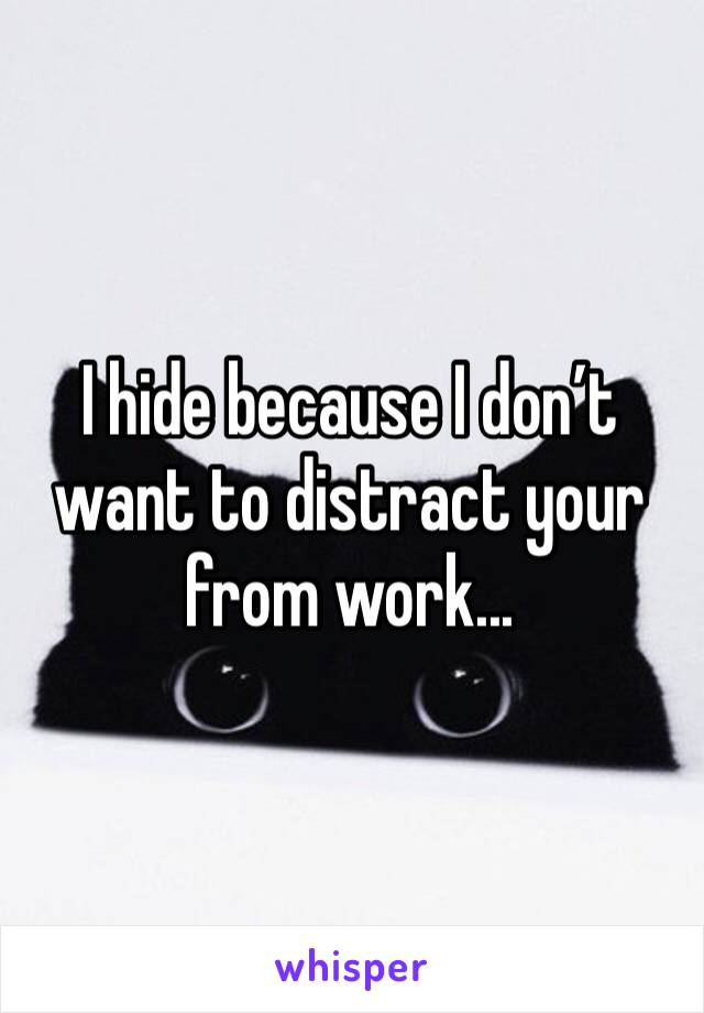 I hide because I don’t want to distract your from work...
