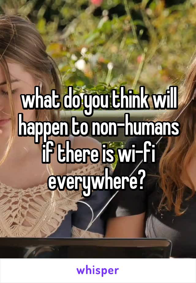 what do you think will happen to non-humans if there is wi-fi everywhere? 