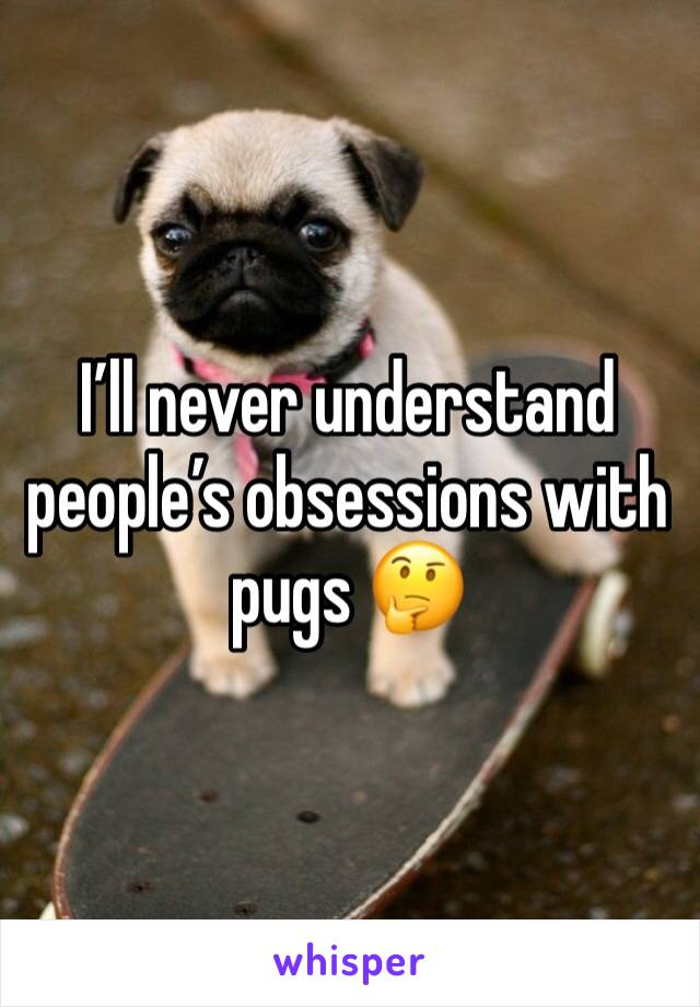 I’ll never understand people’s obsessions with pugs 🤔