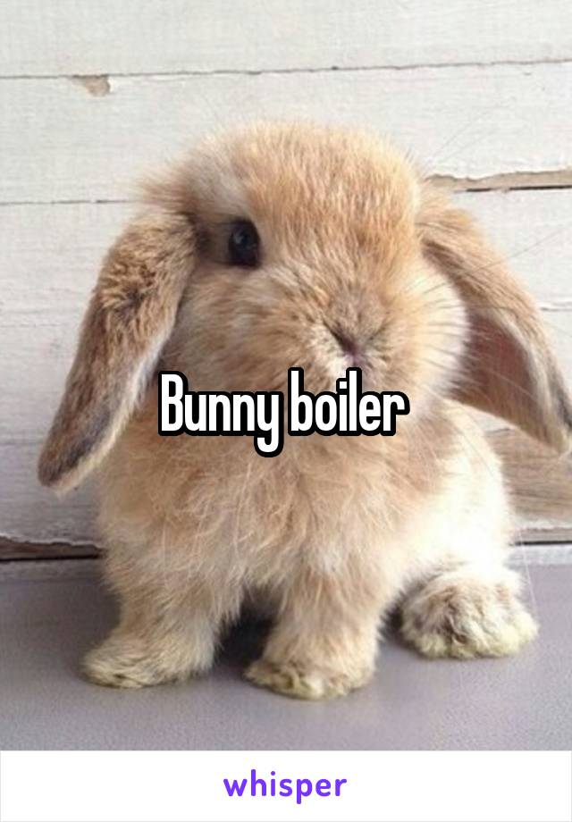 Bunny boiler 