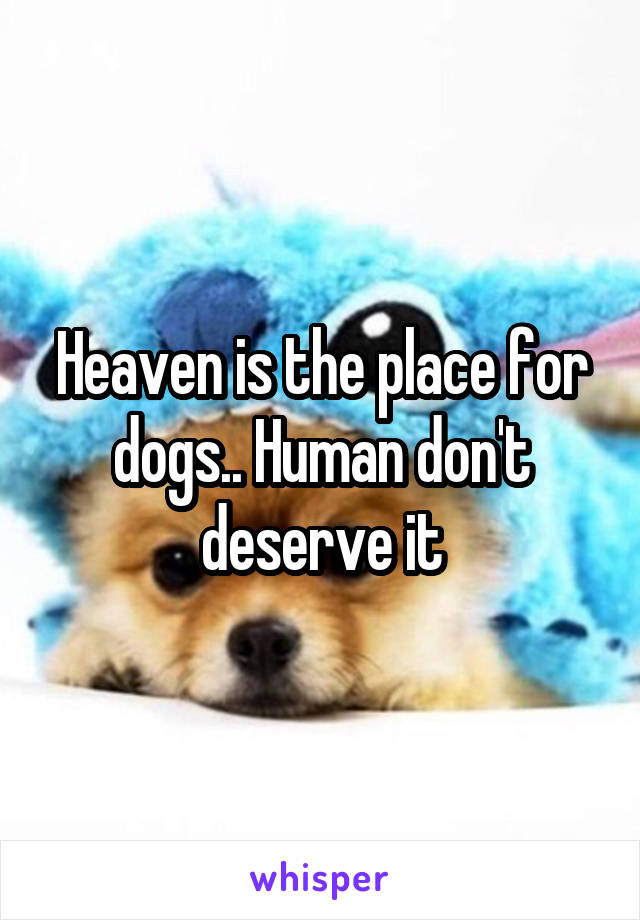 Heaven is the place for dogs.. Human don't deserve it