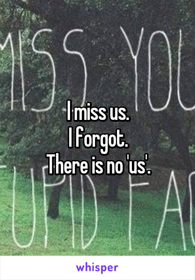 I miss us.
I forgot.
There is no 'us'.