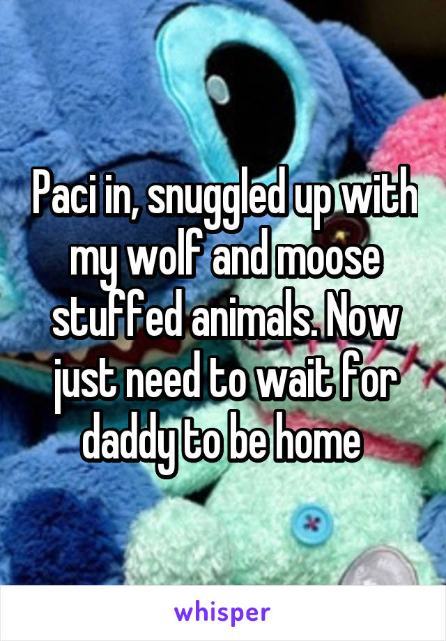Paci in, snuggled up with my wolf and moose stuffed animals. Now just need to wait for daddy to be home 
