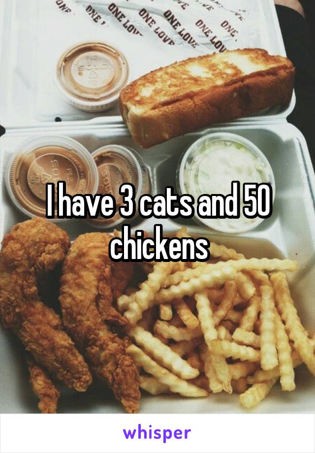 I have 3 cats and 50 chickens