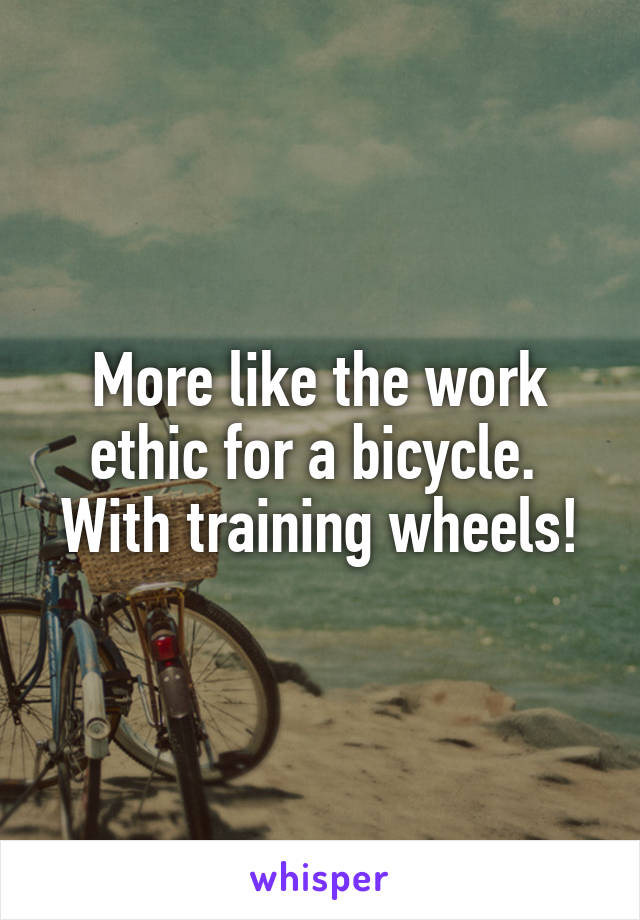 More like the work ethic for a bicycle. 
With training wheels!