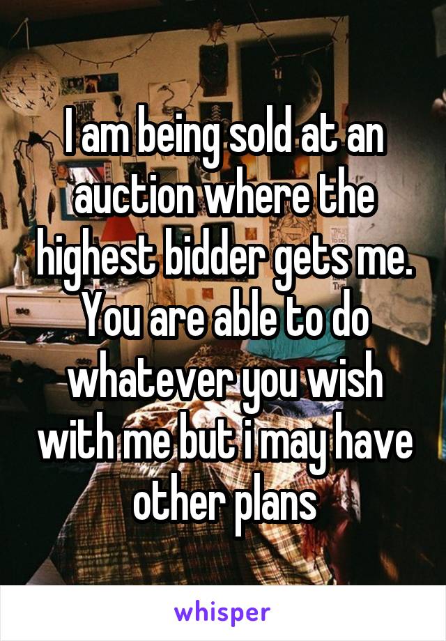 I am being sold at an auction where the highest bidder gets me. You are able to do whatever you wish with me but i may have other plans