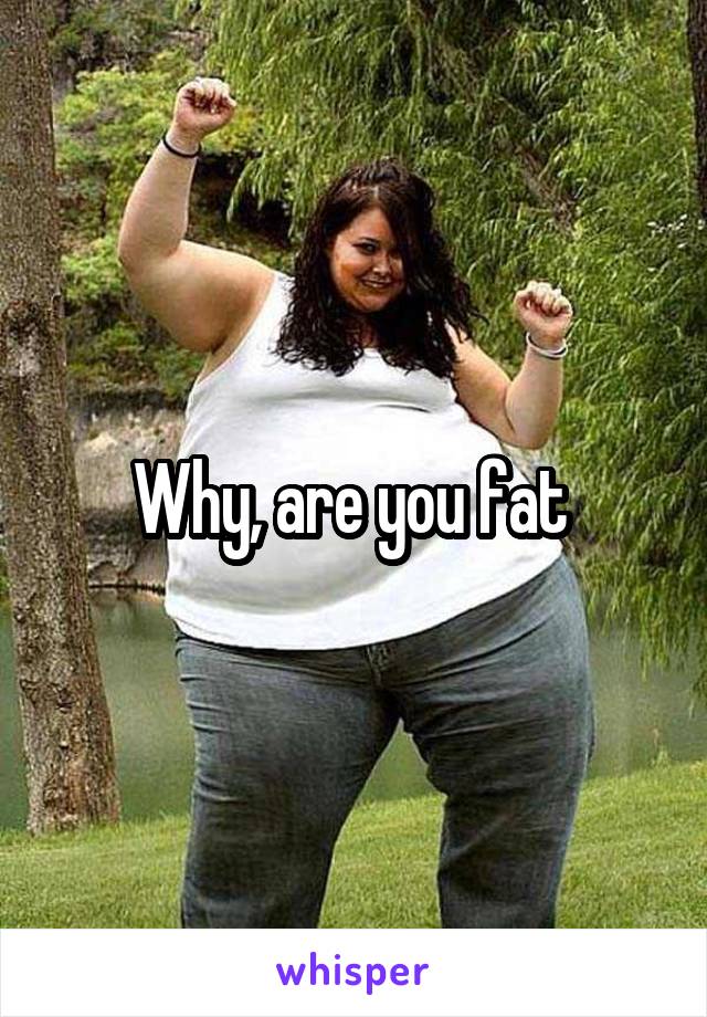 Why, are you fat 