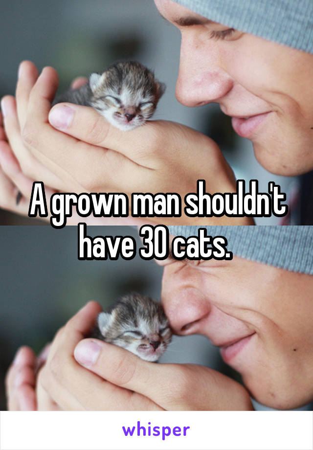 A grown man shouldn't have 30 cats. 