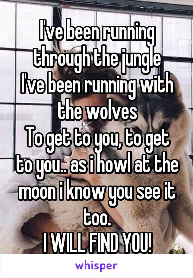 I've been running through the jungle
I've been running with the wolves
To get to you, to get to you.. as i howl at the moon i know you see it too.
I WILL FIND YOU!