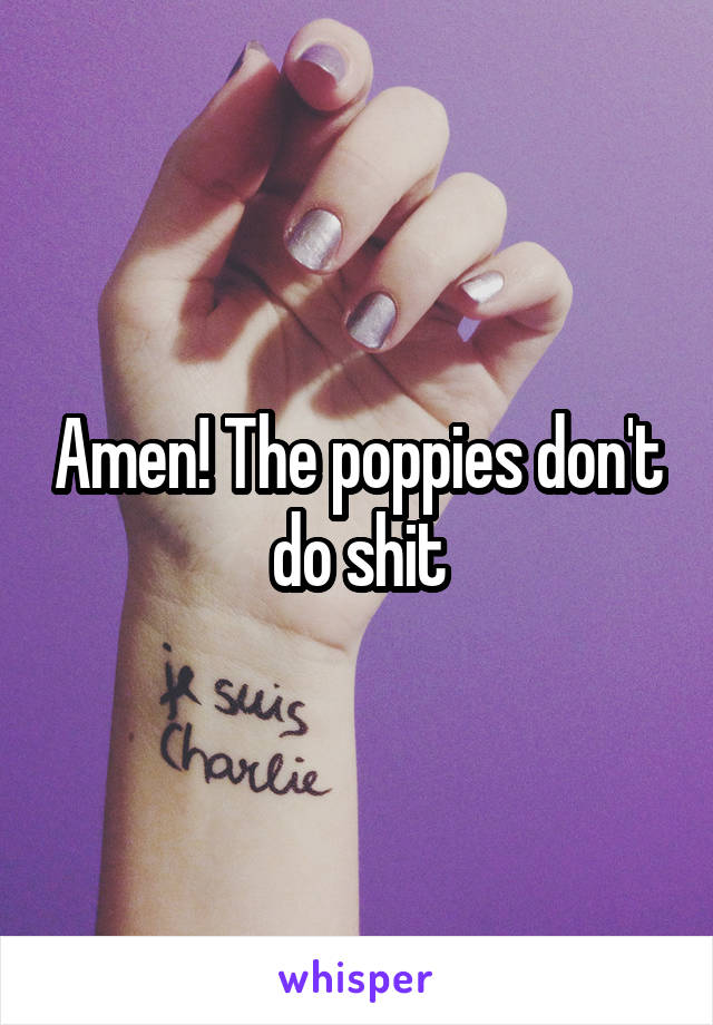 Amen! The poppies don't do shit