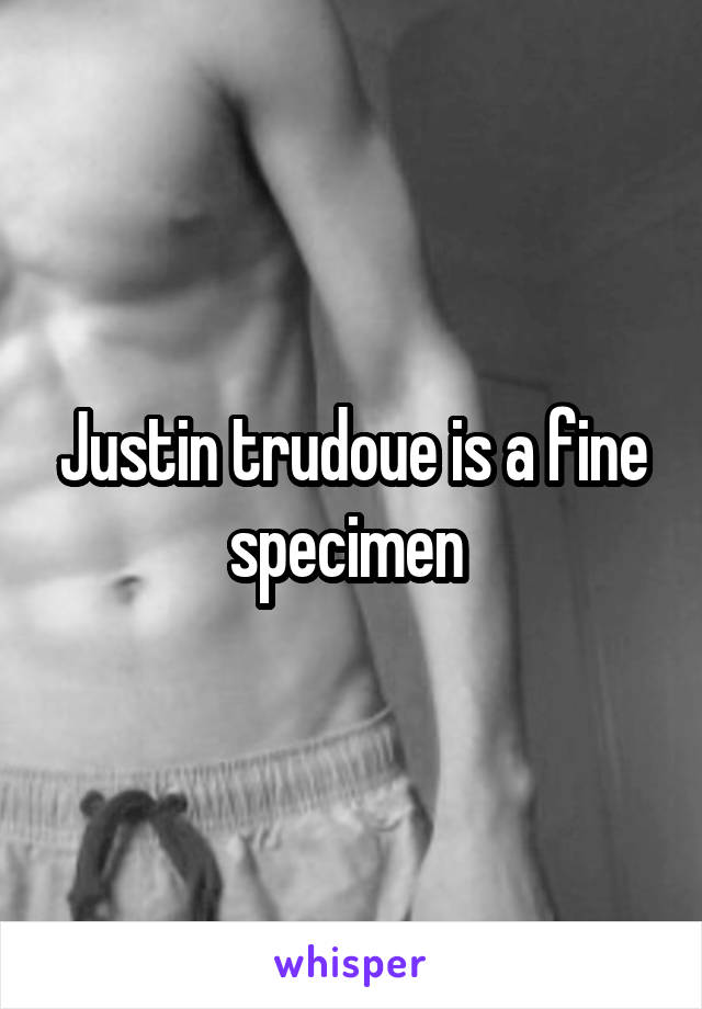 Justin trudoue is a fine specimen 