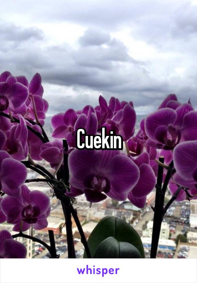 Cuekin
