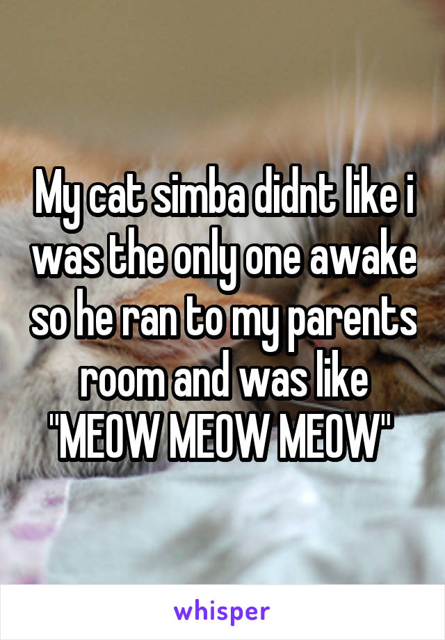 My cat simba didnt like i was the only one awake so he ran to my parents room and was like "MEOW MEOW MEOW" 