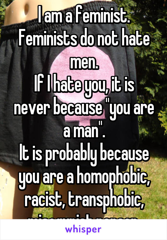 I am a feminist. Feminists do not hate men.
If I hate you, it is never because "you are a man".
It is probably because you are a homophobic, racist, transphobic, misogynist person.