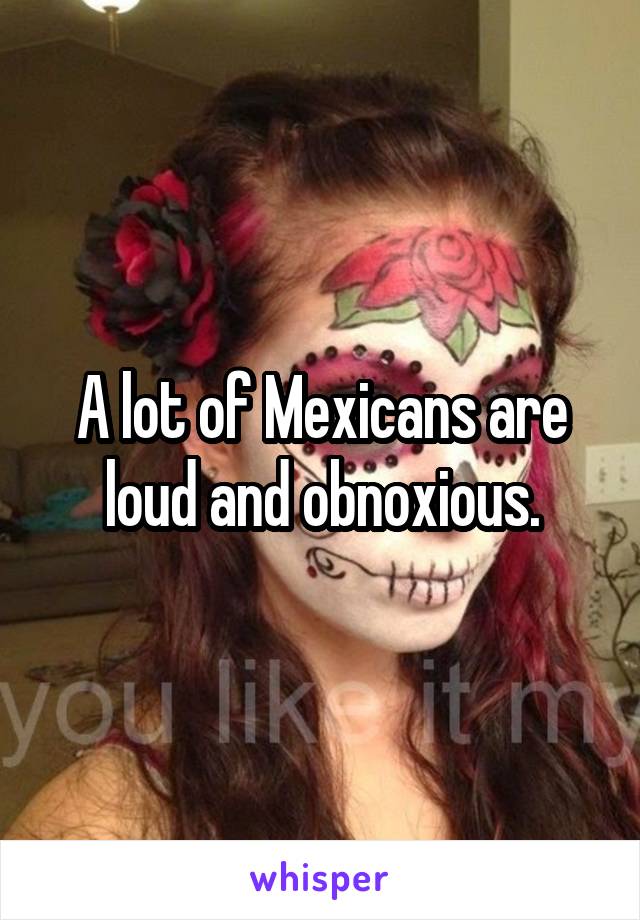 A lot of Mexicans are loud and obnoxious.