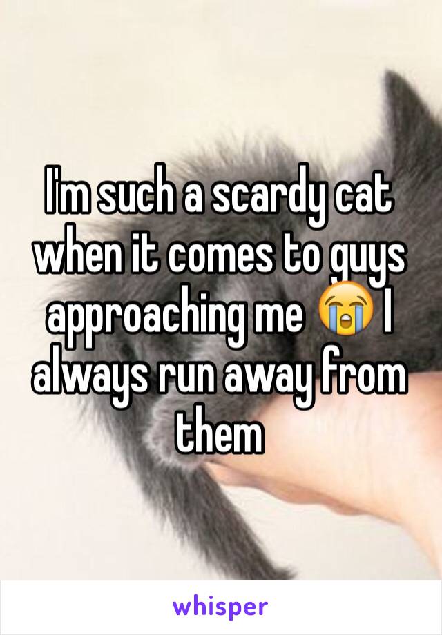I'm such a scardy cat when it comes to guys approaching me 😭 I always run away from them 