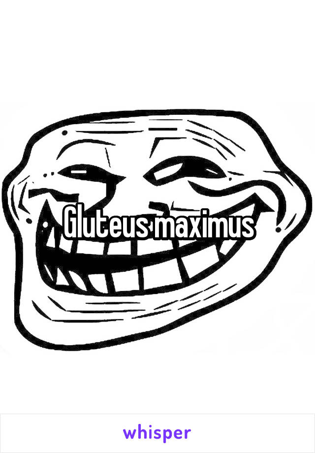 Gluteus maximus