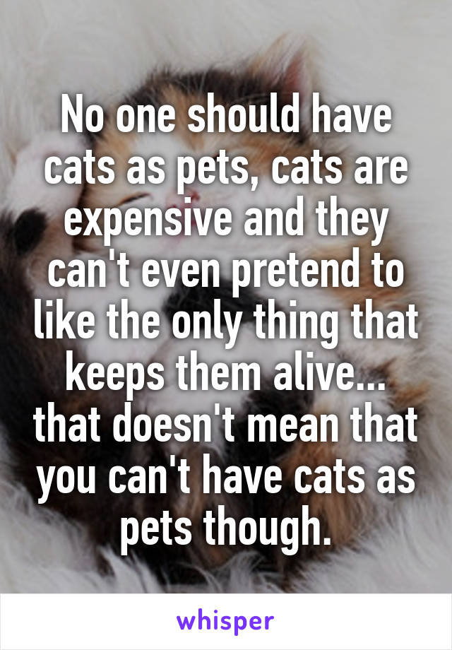 No one should have cats as pets, cats are expensive and they can't even pretend to like the only thing that keeps them alive... that doesn't mean that you can't have cats as pets though.