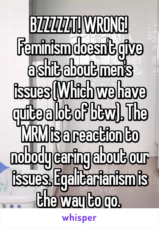 BZZZZZT! WRONG! 
Feminism doesn't give a shit about men's issues (Which we have quite a lot of btw). The MRM is a reaction to nobody caring about our issues. Egalitarianism is the way to go. 