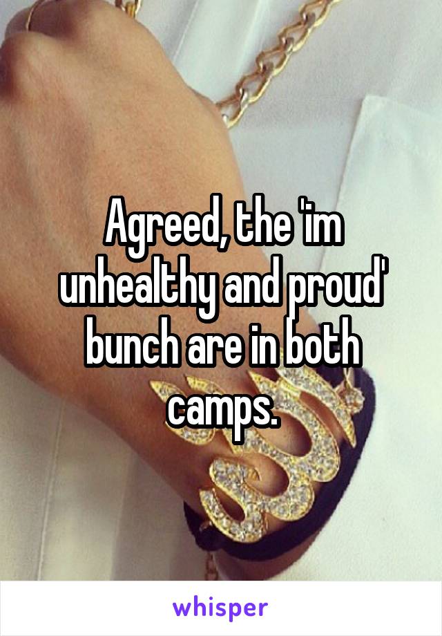 Agreed, the 'im unhealthy and proud' bunch are in both camps.