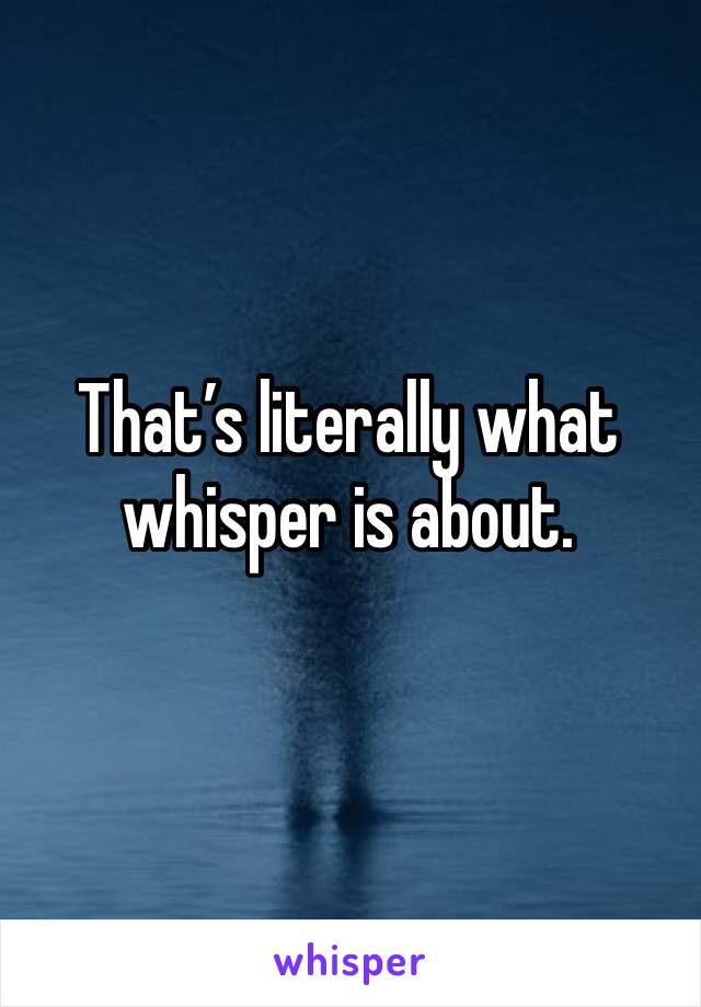 That’s literally what whisper is about. 