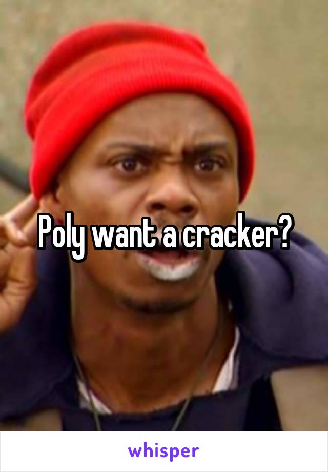 Poly want a cracker?