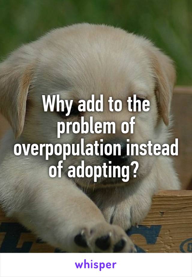 Why add to the problem of overpopulation instead of adopting? 