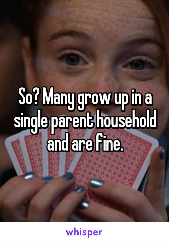 So? Many grow up in a single parent household and are fine.