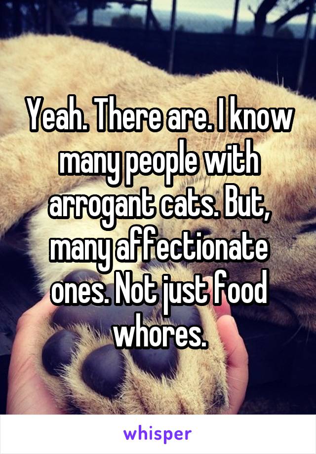 Yeah. There are. I know many people with arrogant cats. But, many affectionate ones. Not just food whores.