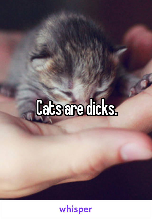 Cats are dicks.