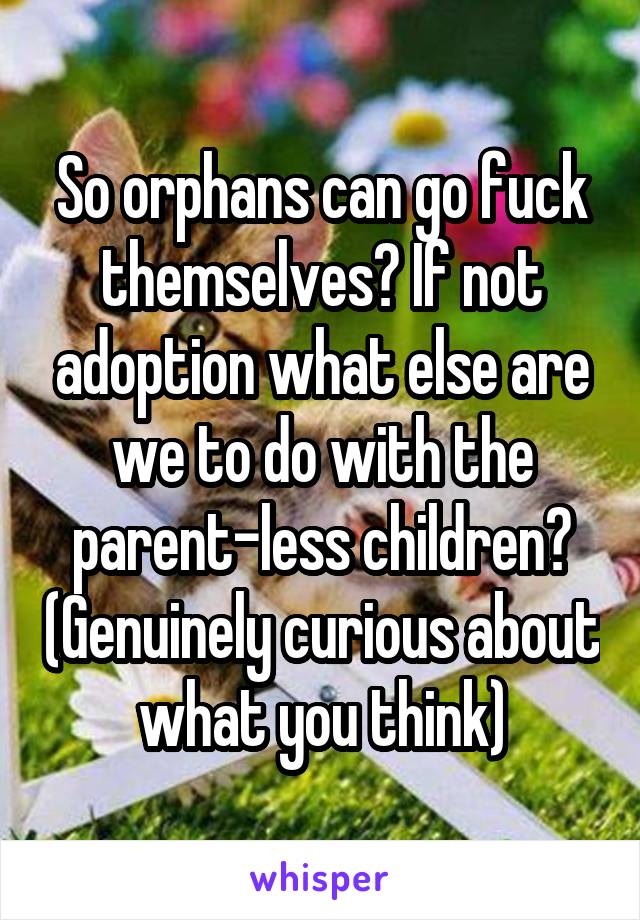 So orphans can go fuck themselves? If not adoption what else are we to do with the parent-less children? (Genuinely curious about what you think)