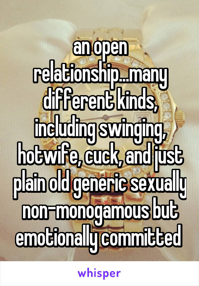 an open relationship...many different kinds, including swinging, hotwife, cuck, and just plain old generic sexually non-monogamous but emotionally committed 