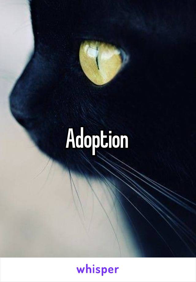 Adoption 