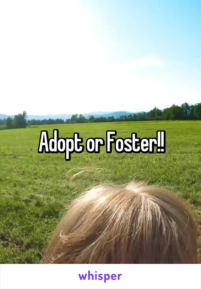 Adopt or Foster!!