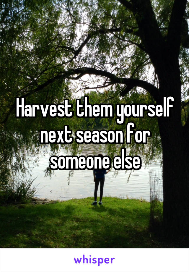 Harvest them yourself next season for someone else