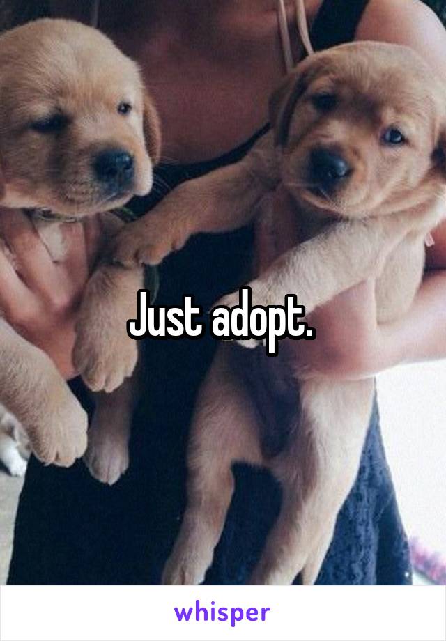 Just adopt. 