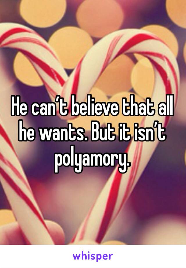 He can’t believe that all he wants. But it isn’t polyamory. 