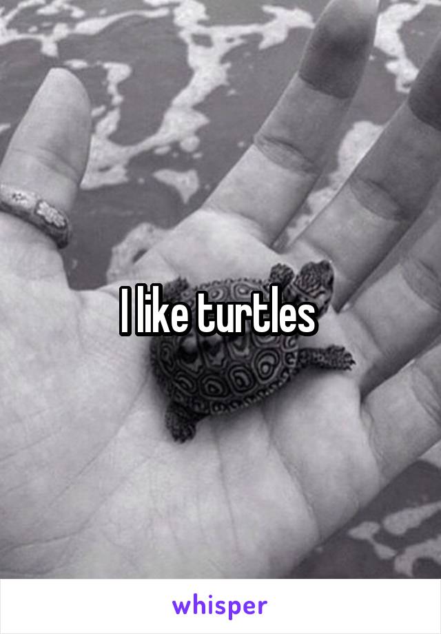 I like turtles 