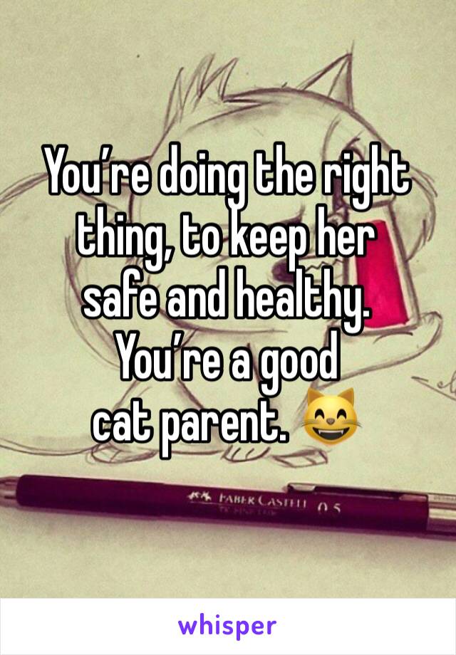 You’re doing the right thing, to keep her
safe and healthy.
You’re a good cat parent. 😸