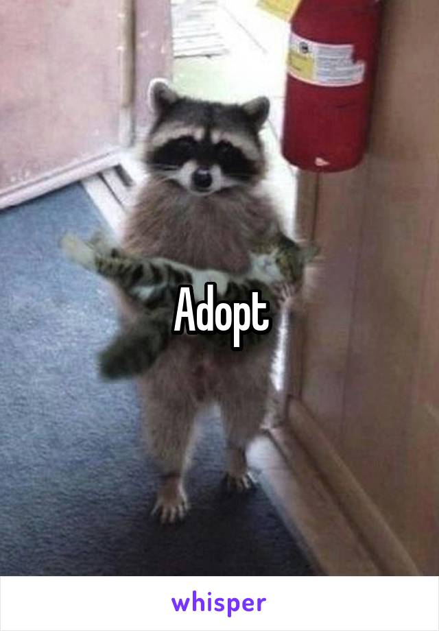 Adopt